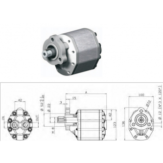 Gear pump Binotto LTA-40 D.22 R